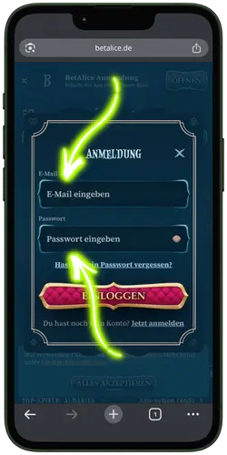 BetAlice Casino Email Password Input Screen